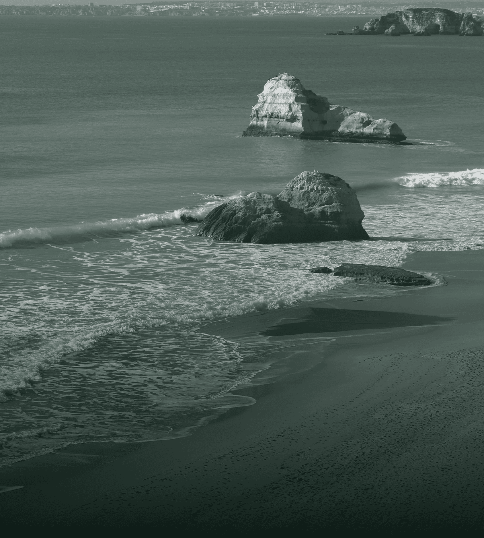 Places rooted in natural systems. Food from the ground and energy from the sun.